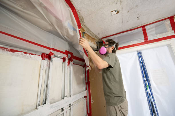 Best Air Quality Testing for Mold Spores  in Seagoville, TX